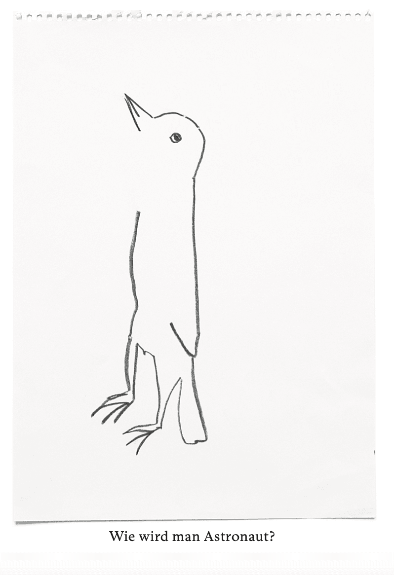 Astronaut